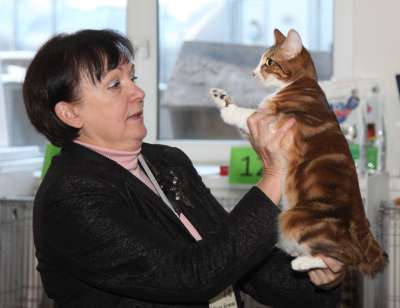 �������� ����� '������� ���-�����' 30 ������-1 ������� 2013., WCF-����� 2566